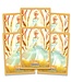 Lorcana Cinderella Card sleeves