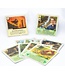 RIVALS FOR CATAN  -  DELUXE (EN)