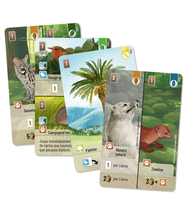 Forêt Mixte: Exploration (FR) ^ 8 Août