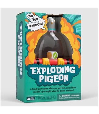 EXPLODING PIGEON (EN)