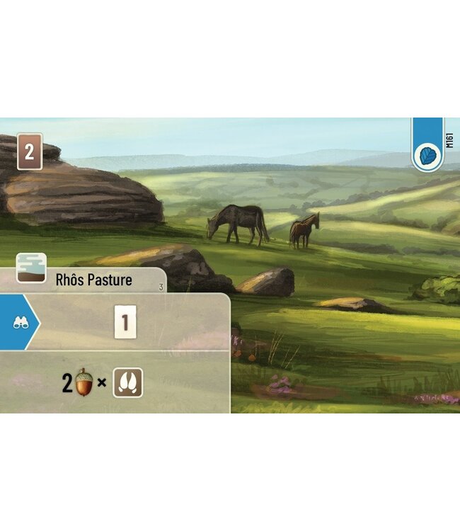 FOREST SHUFFLE  -  DARTMOOR (EN)