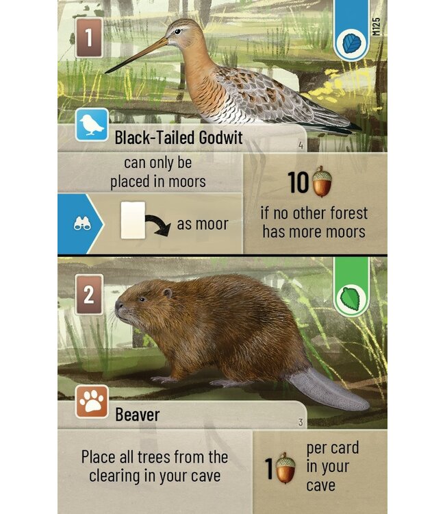 FOREST SHUFFLE  -  DARTMOOR (EN)