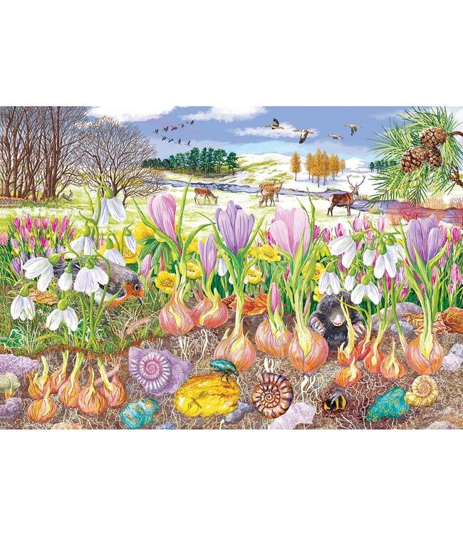 4 PUZZLES – 500 PCS EACH – ROOTS & SHOOTS