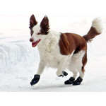 Canine Equipment Canine Equipment - Ultimate Trail Boot