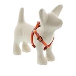 Lupine Pet Step In Harness-D