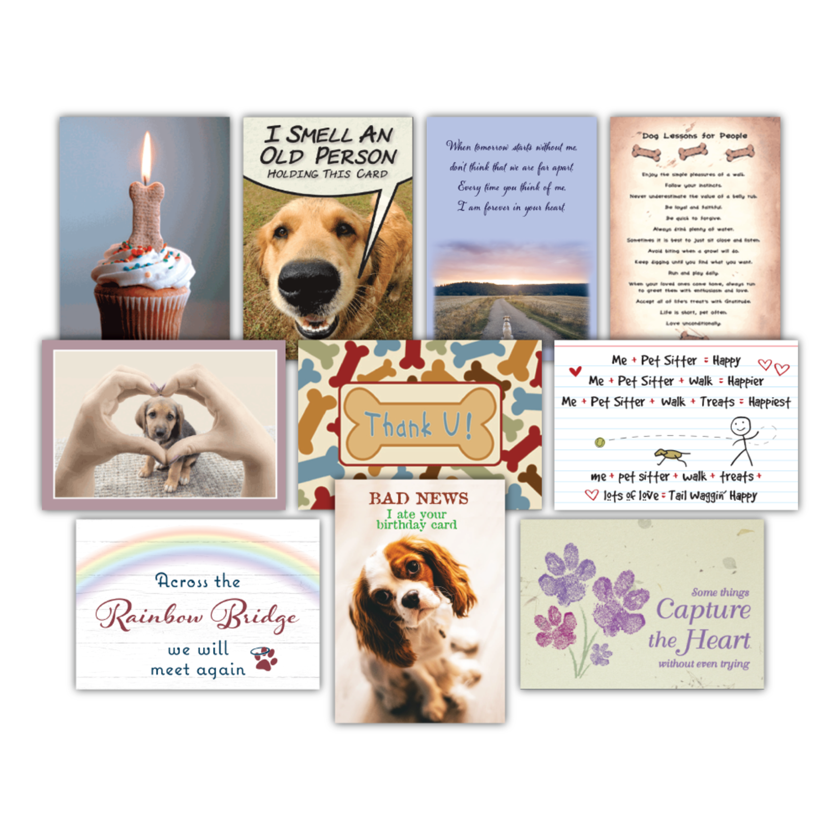 dog speak Card - Sympathy - Dog Speak