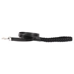 Shedrow K9 Shedrow K9 - Rideau Braided Rope & Leather Leash