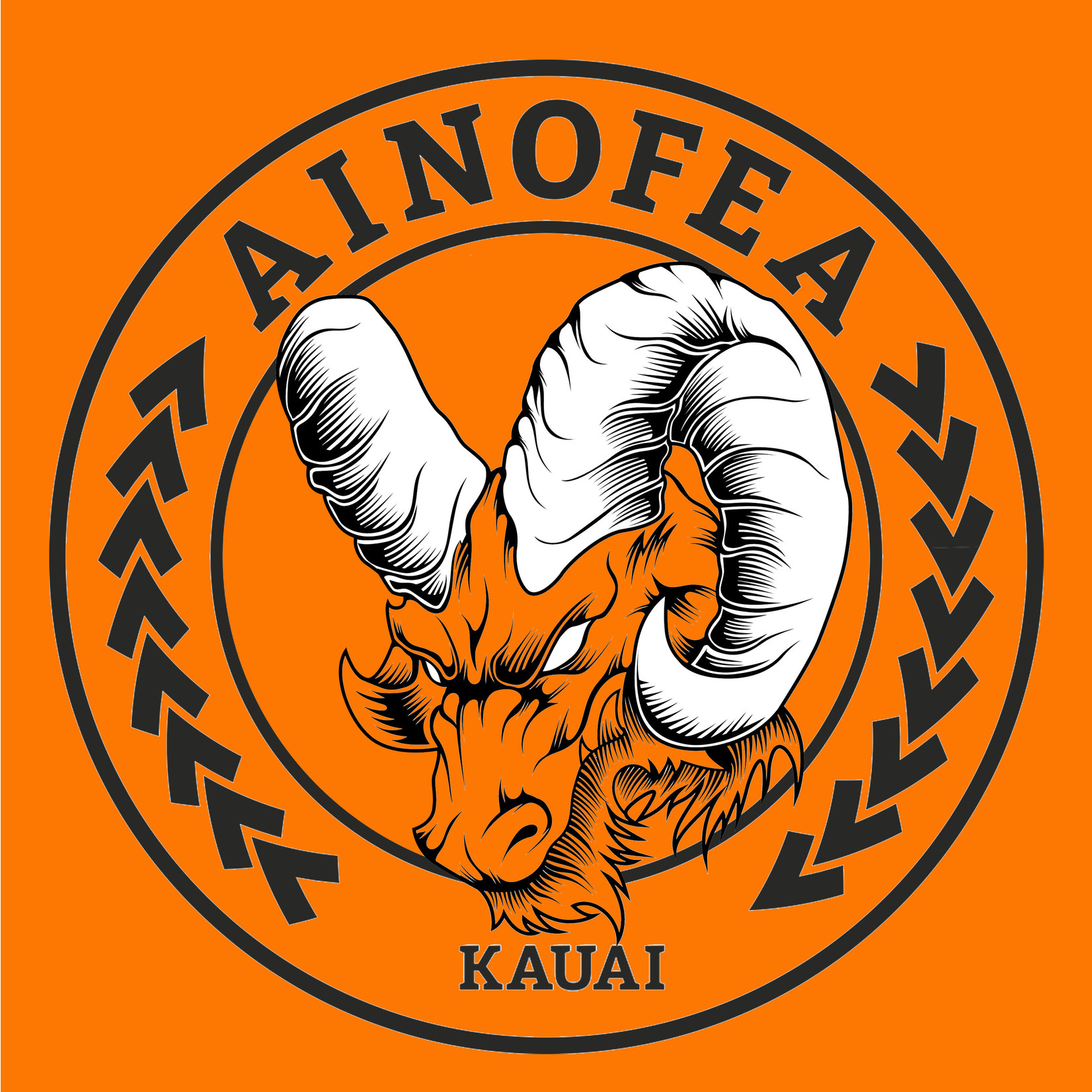 Ainofea  logo t shirts