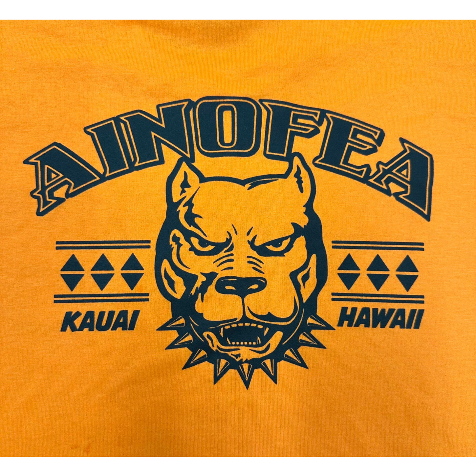 Ainofea  logo t shirts