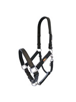 Equilibrium Products Stellar Head Collar