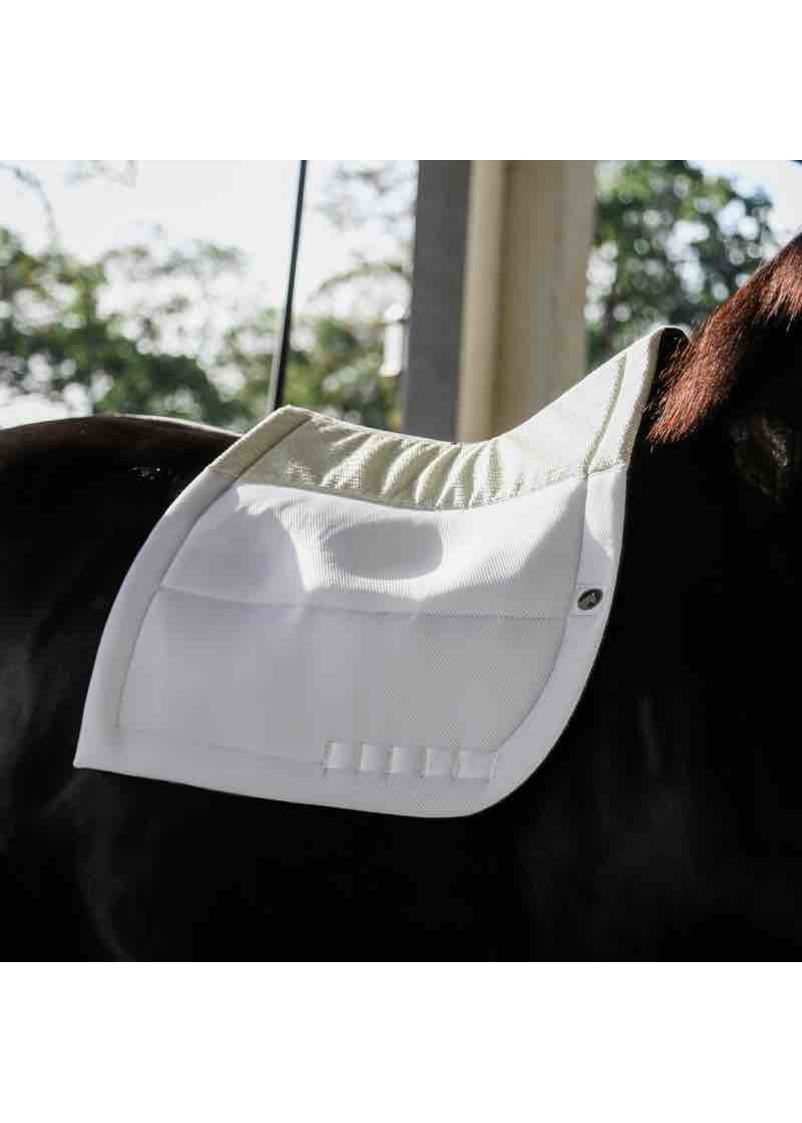 Eco Gold Secure Dressage Pad