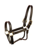 Jack's Leather Track Halter