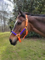 Feather Weight Beta 1" Two-Tone Double Buckle Adjustable Chin Halter