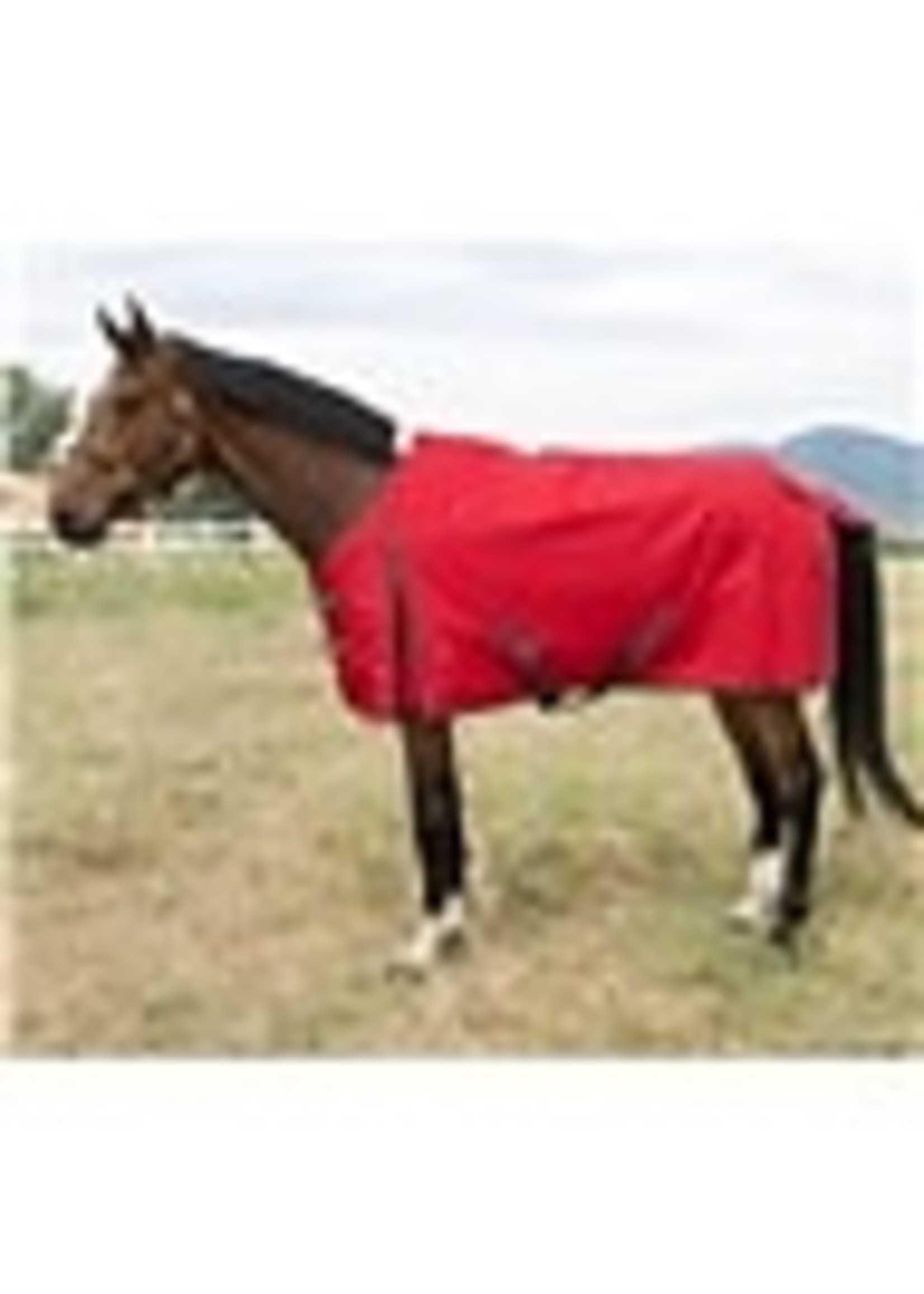 Atlas Turnout Blanket 600 Denier with 180gm Lining Red Ribbon Tack
