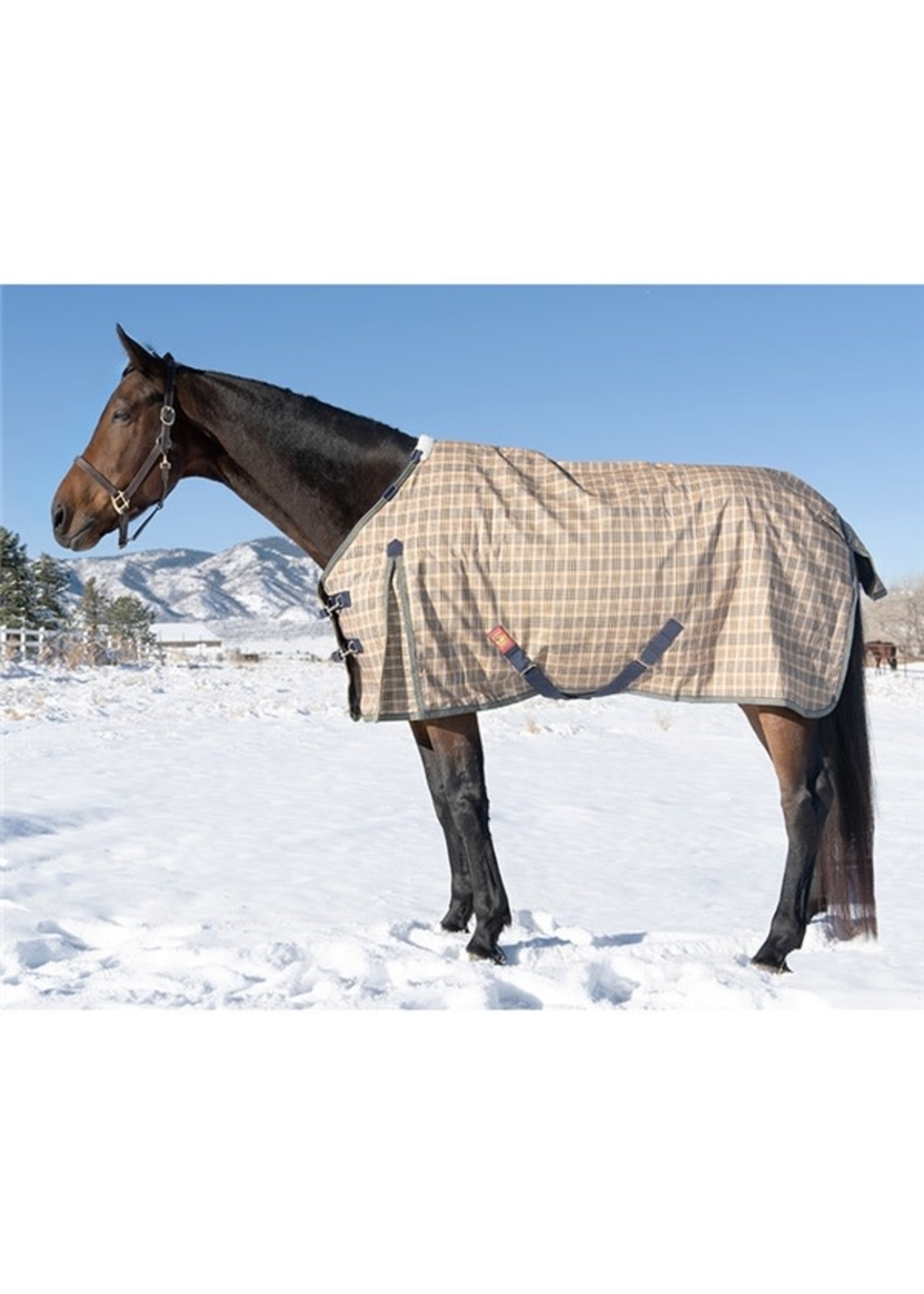 Medium Weight Turnout Blanket 200 Gram Red Ribbon Tack