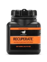 HyGain Recouperate