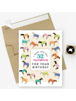 Hunt Seat Paper Co. 52 Thoroughbred Birthday Card