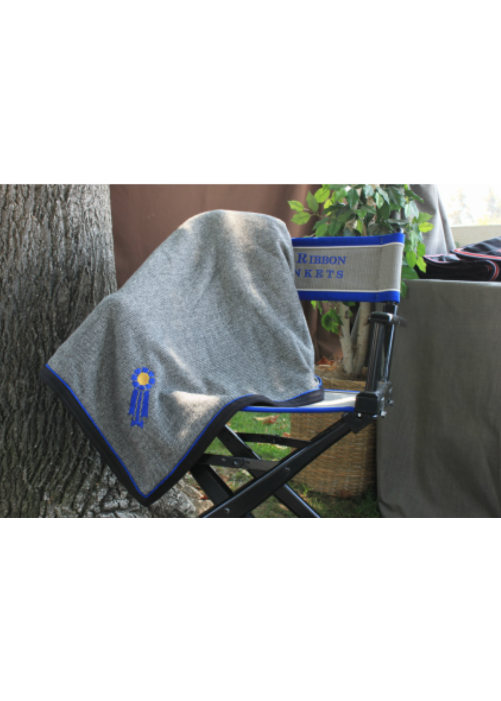 Blue Ribbon Blankets Director Chairs
