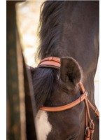 https://cdn.shoplightspeed.com/shops/654230/files/54074831/150x200x2/penelope-elegance-bridle.jpg