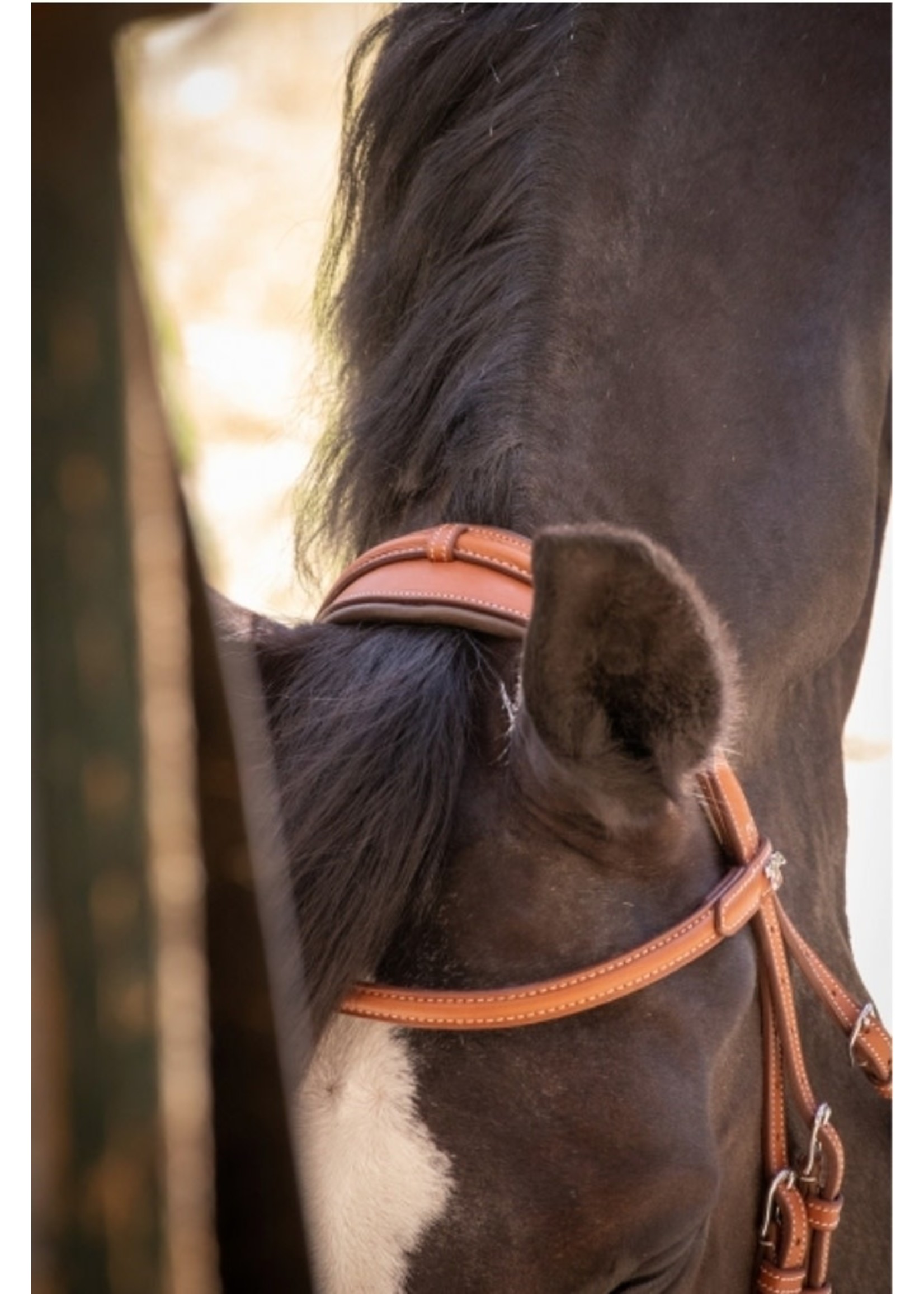 Pénélope Elegance Bridle