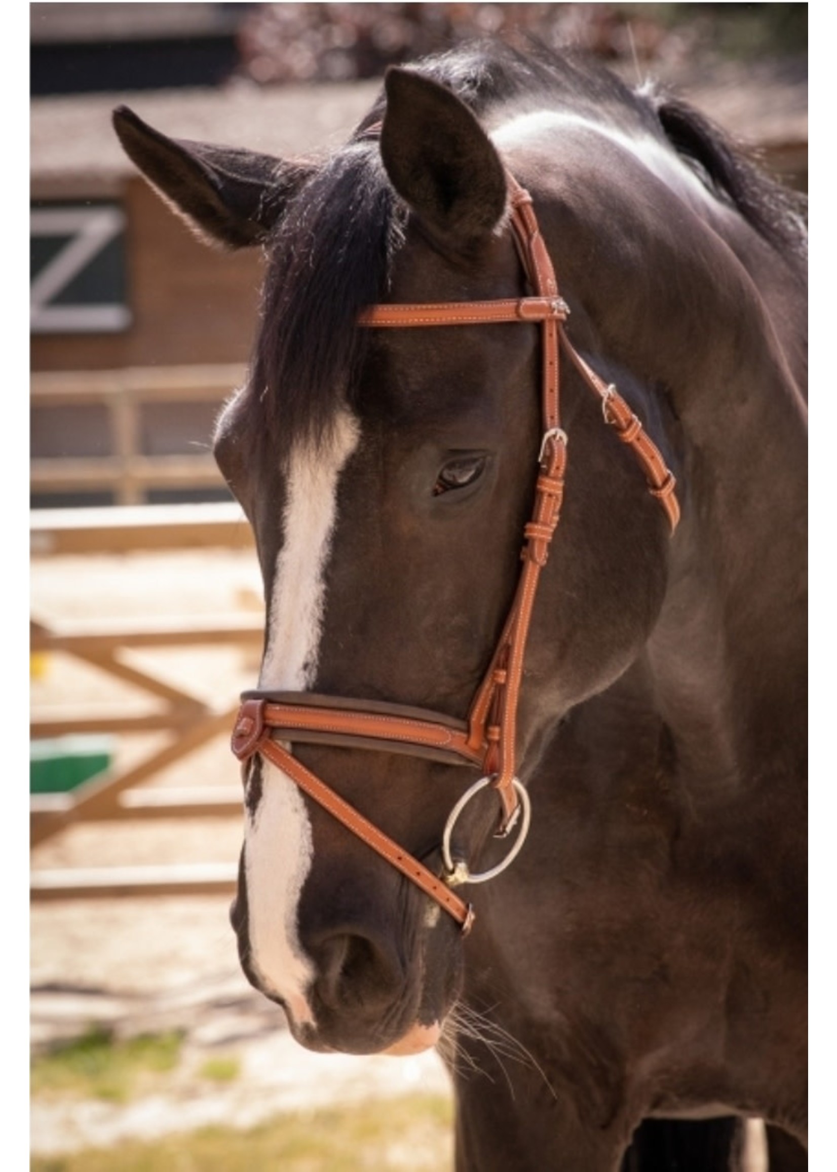 Pénélope Elegance Bridle