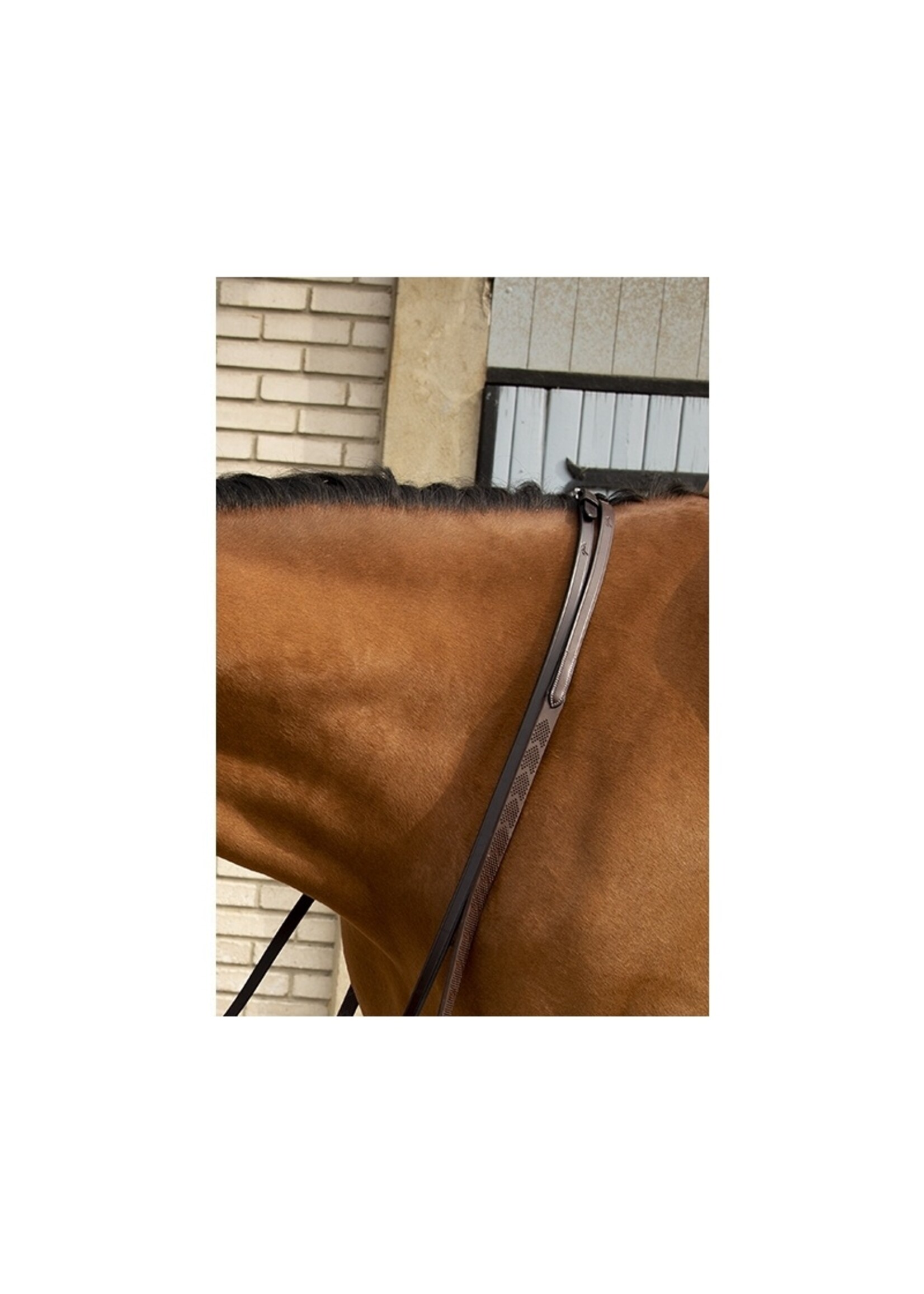 Pénélope Luxe Rubber Reins