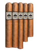 Foundation Cigars Foundation Charter Oak Shade - Toro -single - 6x52  (E13)