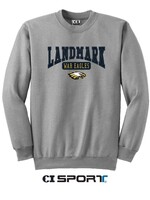 YOUTH GREY FLEECE CREWNECK WITH APPLIQUE EMBROIDERY FRONT