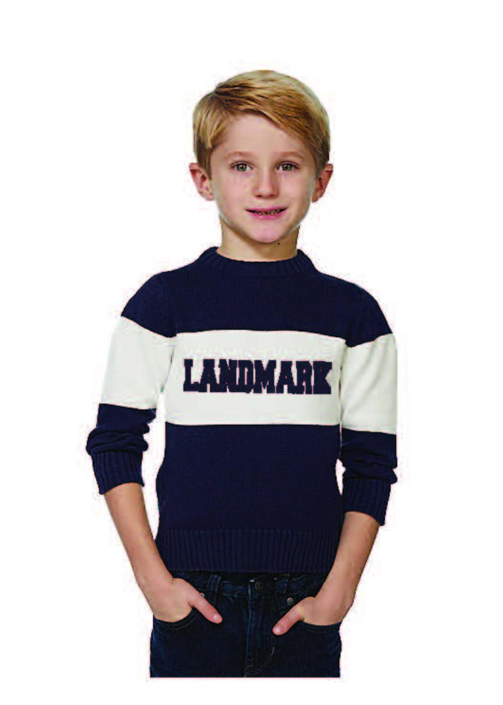 YOUTH NAVY/WHITE BAR DOWN LANDMARK SWEATER