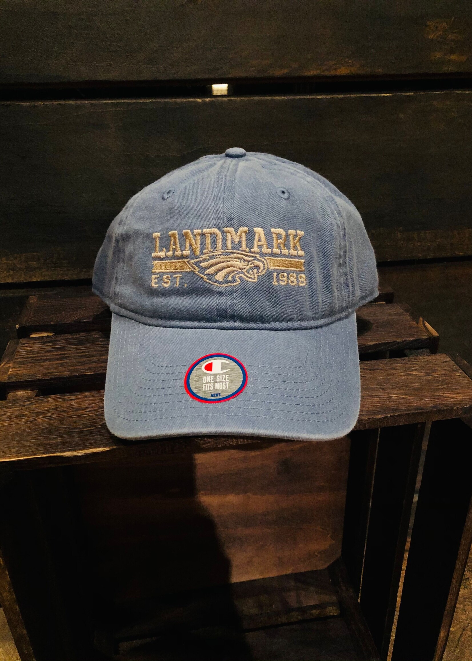 MEN'S PIGMENT DYED TWILL ADJUSTABLE CAP WITH EMBROIDERY LOGO ON FRONT AND BACK