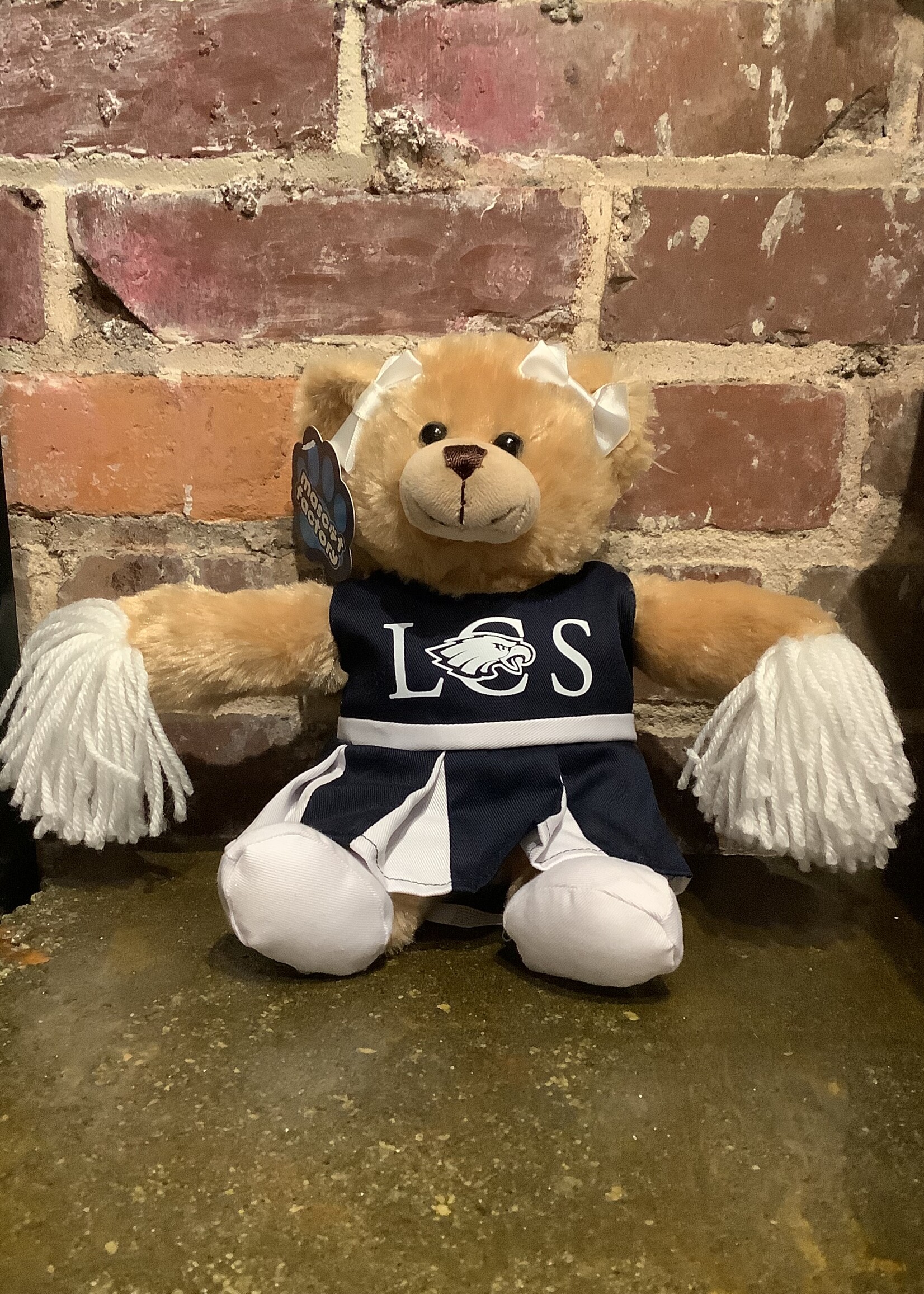 CARLY BEAR W/CHEER OUTFIT