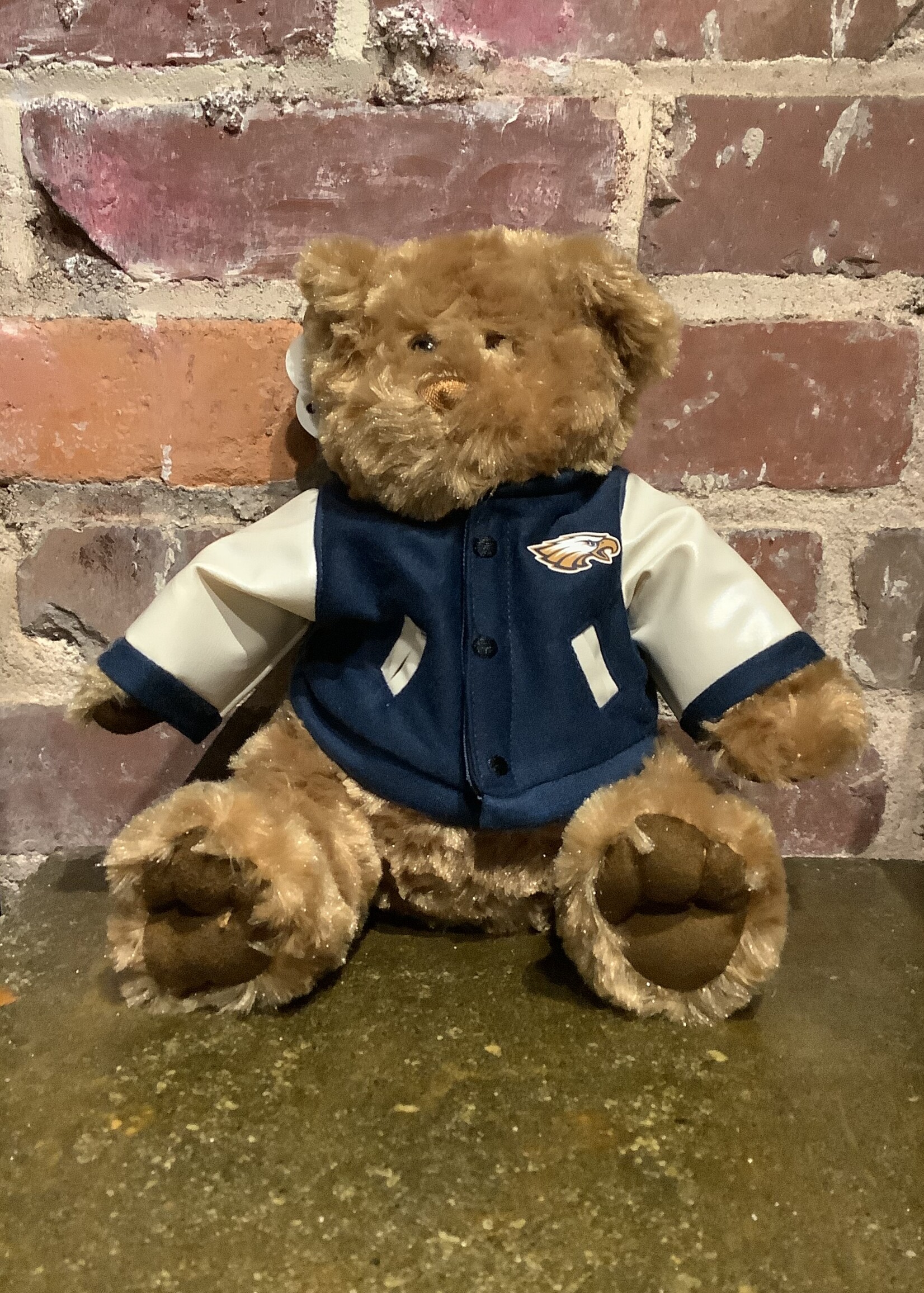 JORDAN 8" BEAR WITH VARSITY JACKET