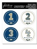 LANDMARK BABY  FIRST YEAR MILESTONE STICKERS