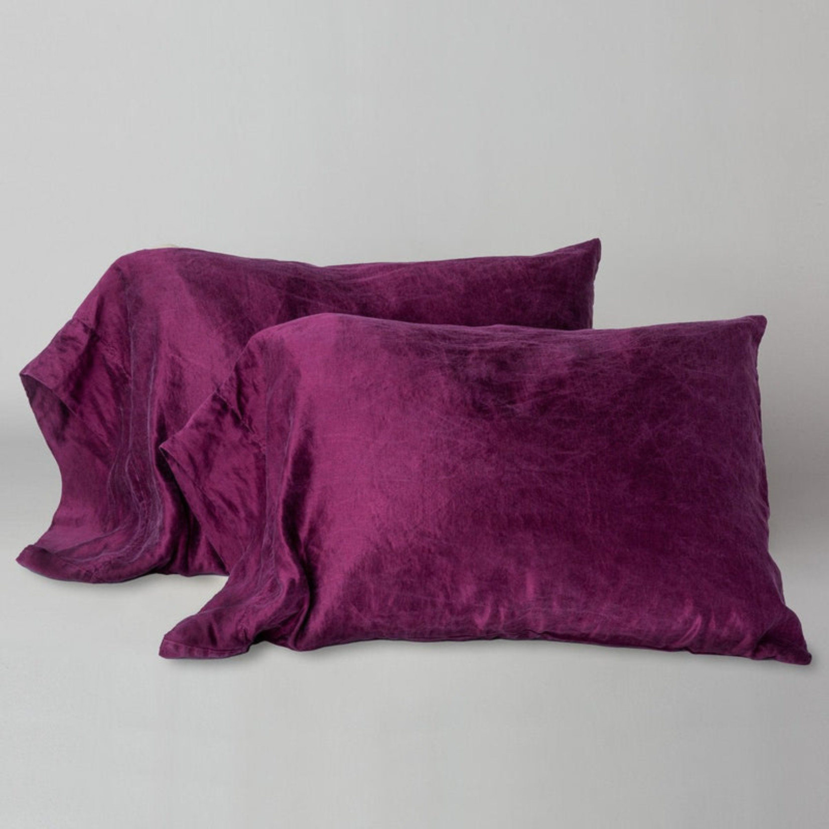 Bella Notte Paloma Pillowcase (Single)