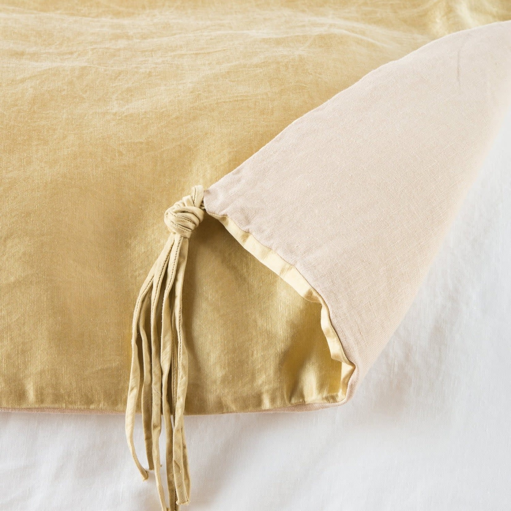 Bella Notte Taline Accent Pillow