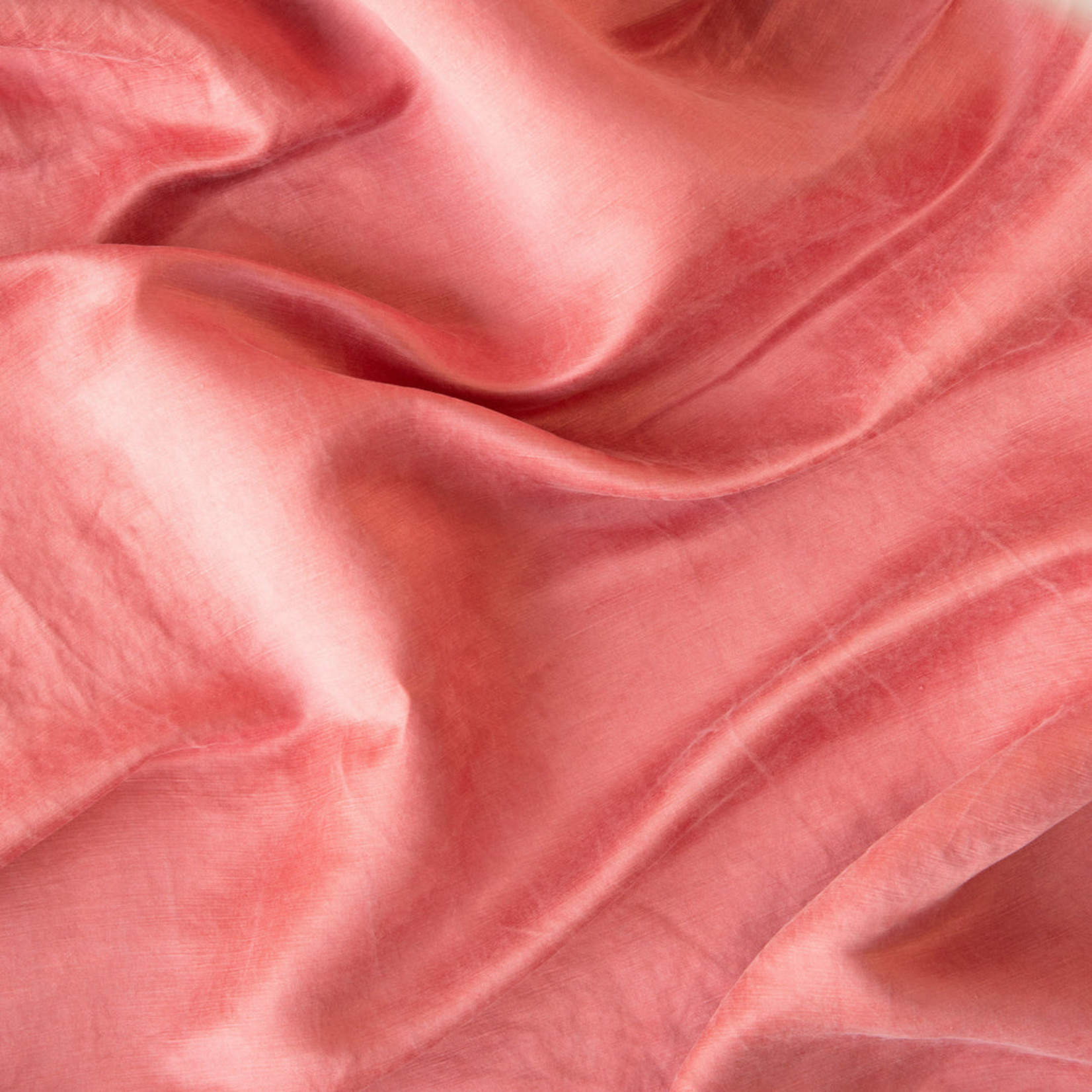 Bella Notte Paloma Pillowcase (Single)