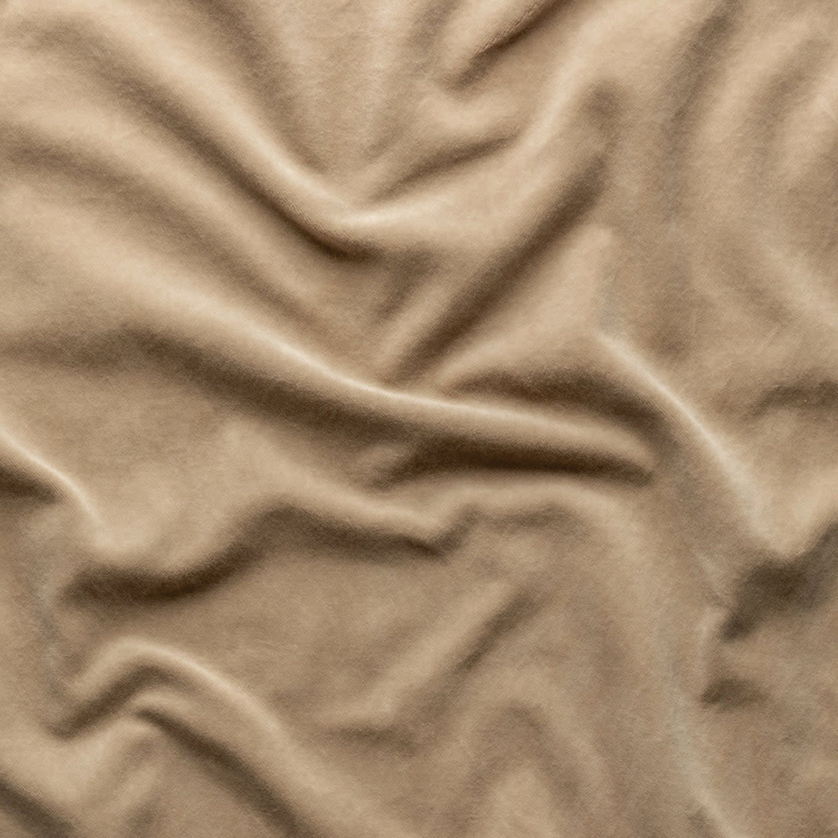 Bella Notte Harlow Sham