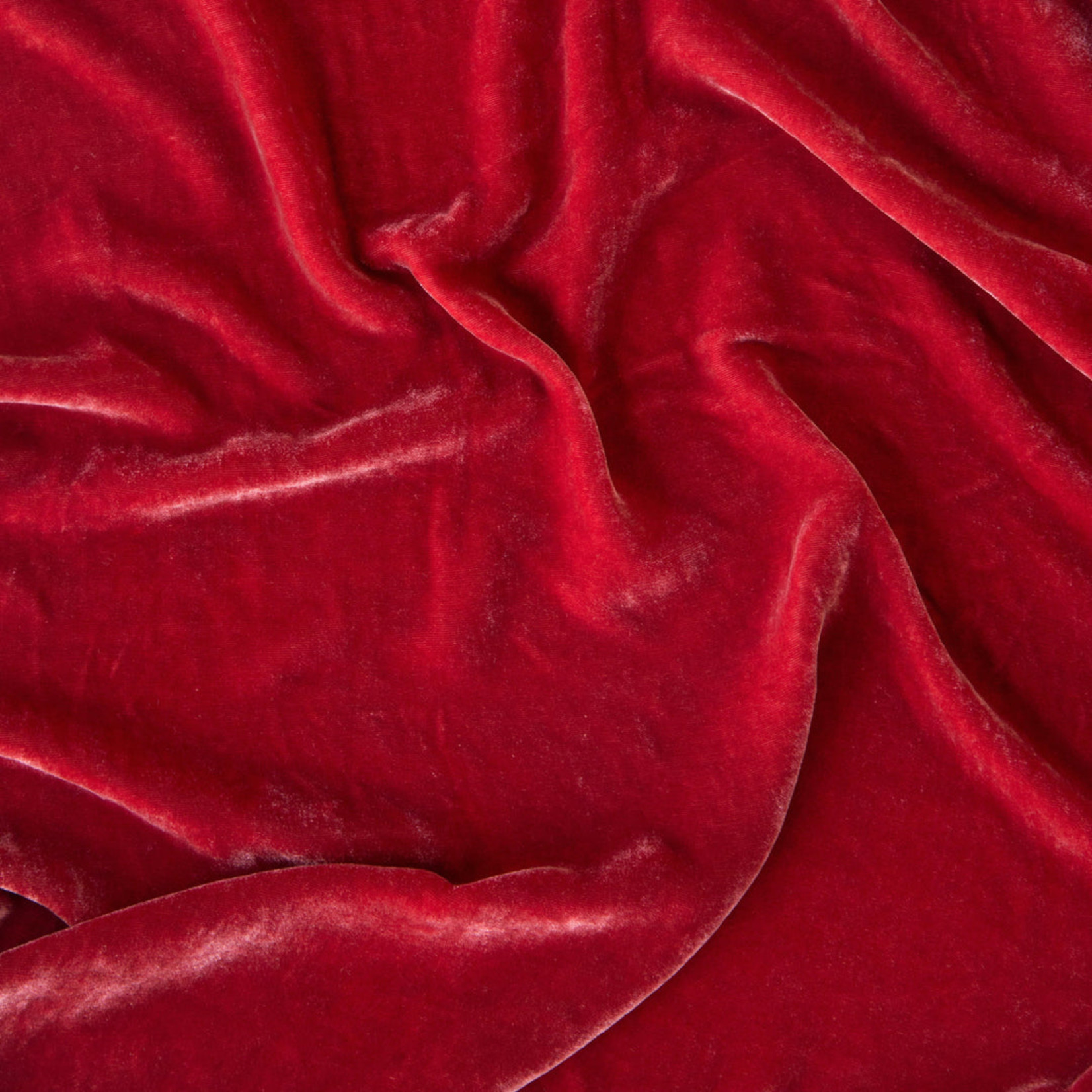 Bella Notte Carmen Sham