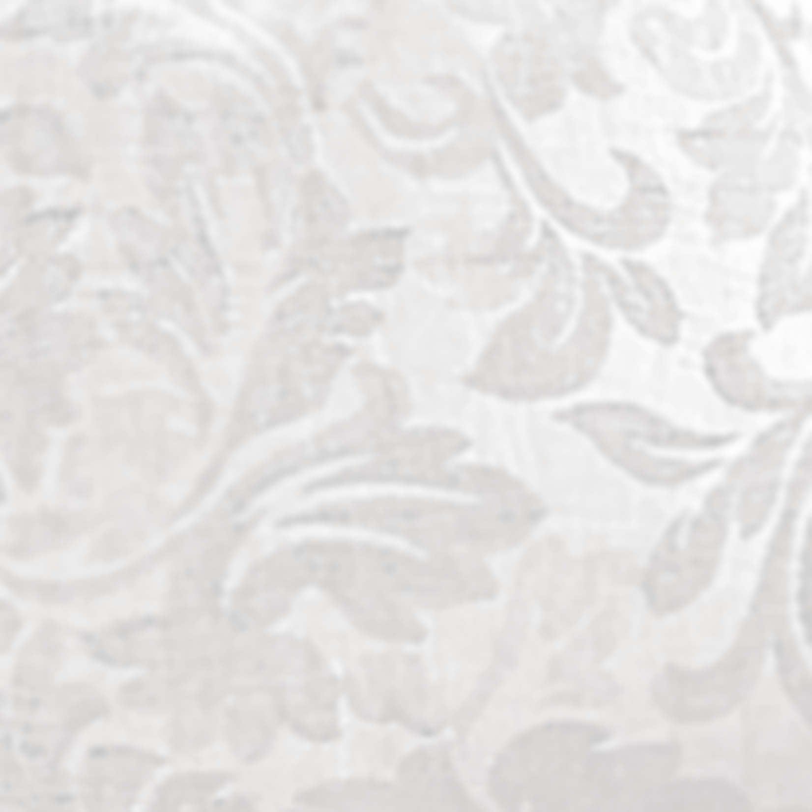 Bella Notte Tennyson Euro Sham White