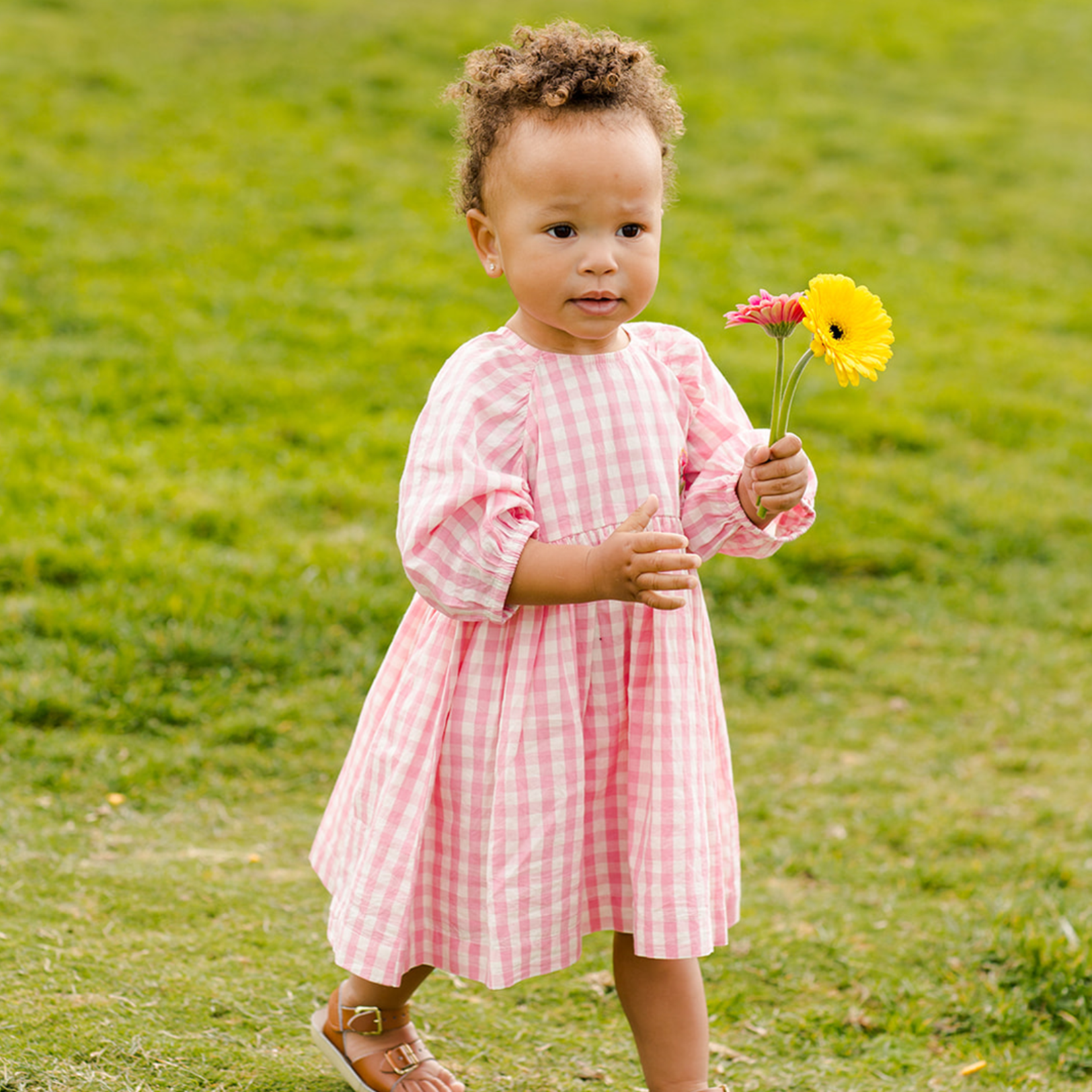 Pink Chicken Danielle Dress Set
