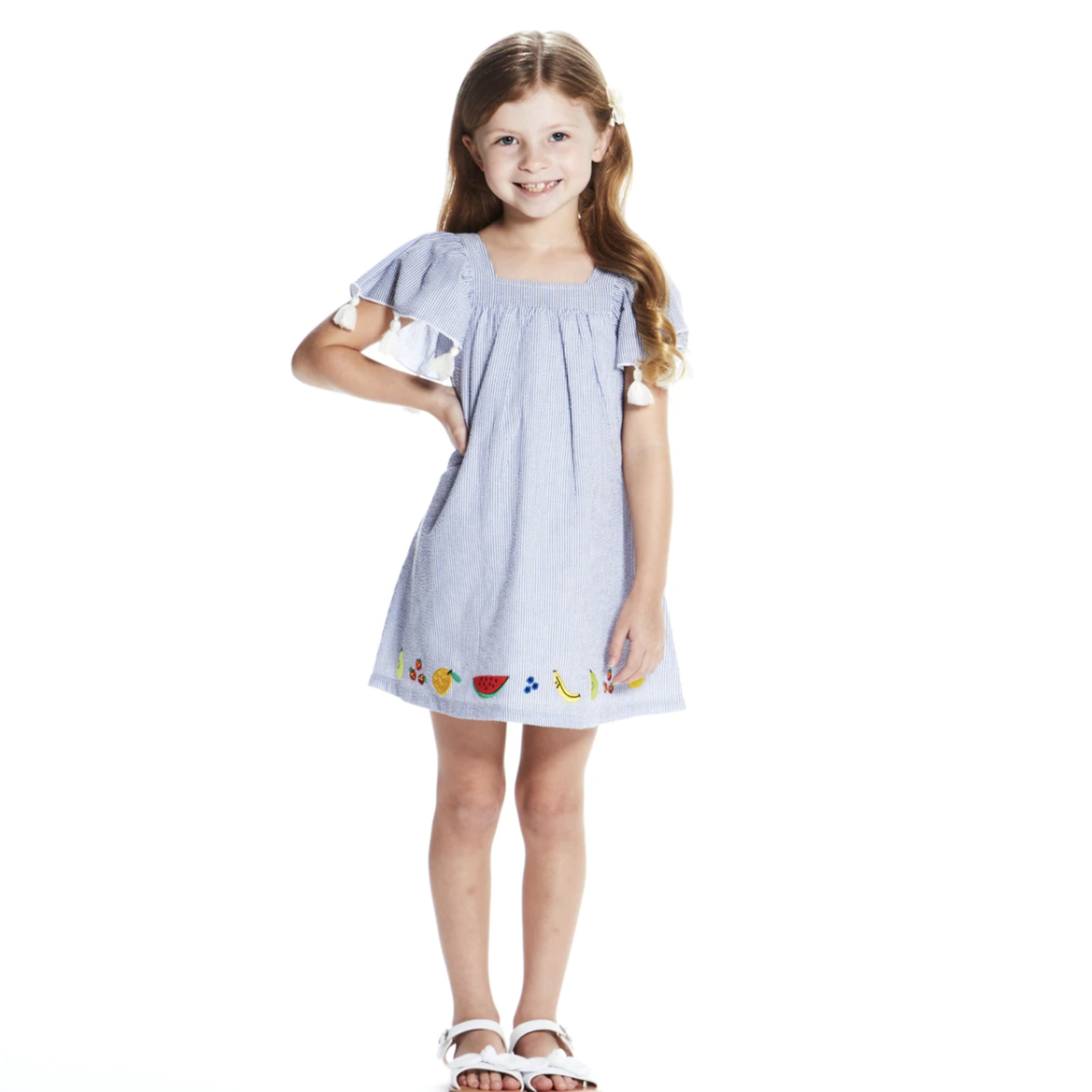 Andy & Evan Embroidered Seersucker Dress