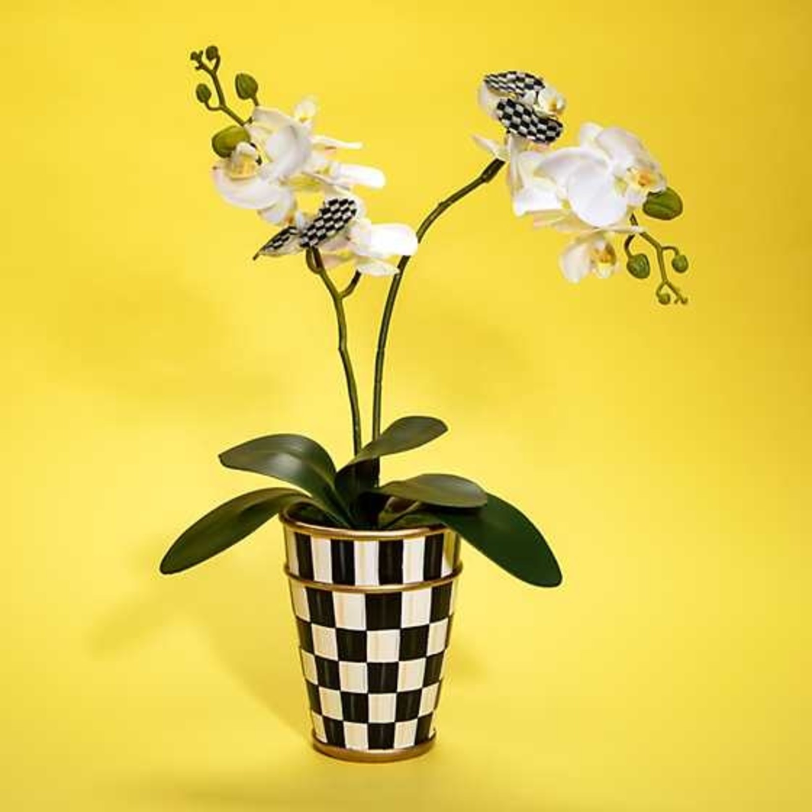 MacKenzie-Childs Potted Orchid