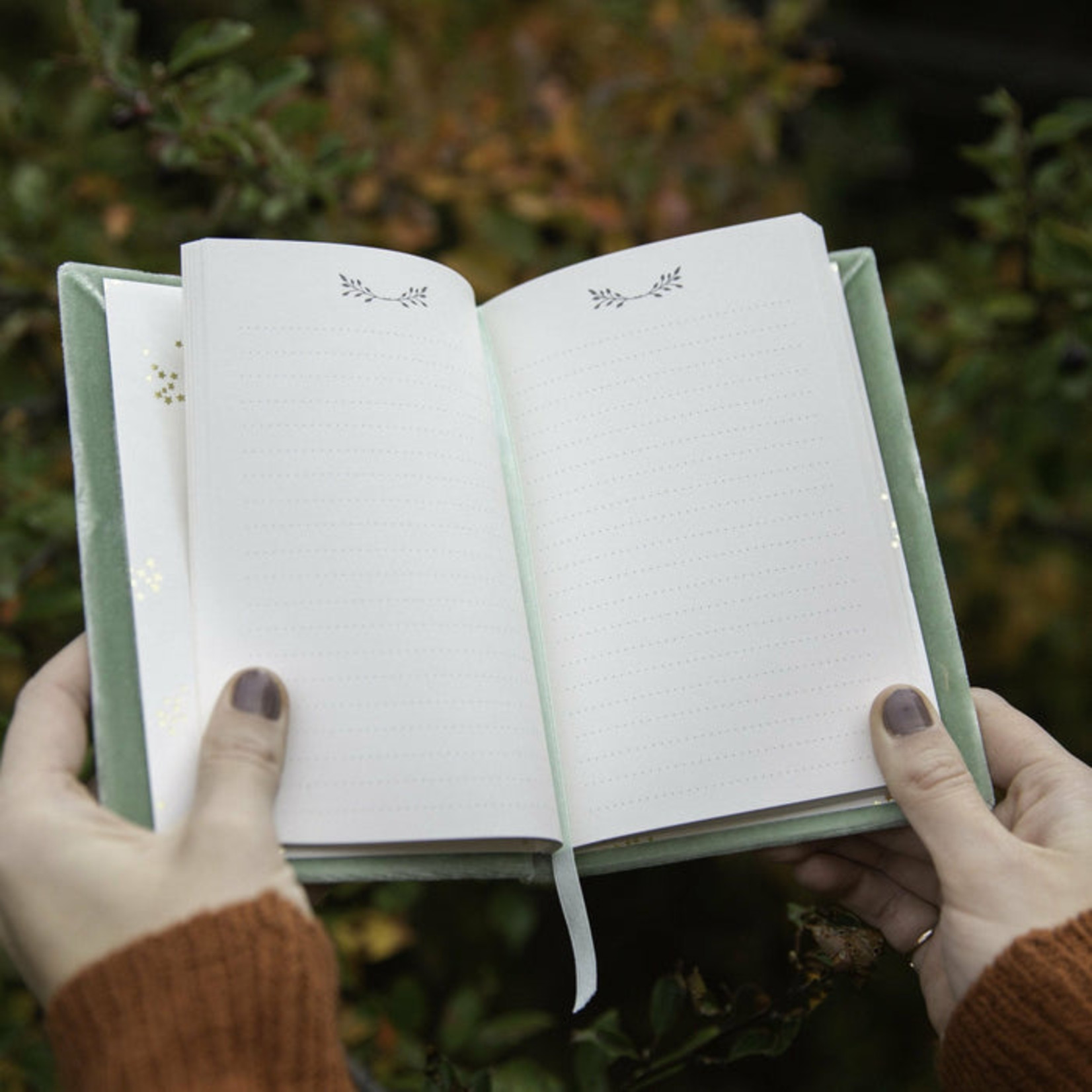 The First Snow "Baby" Velvet Notebook - Hamilton Lake