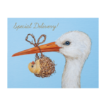 Hester & Cook Baby Stork Card
