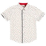 Fore!! Axel & Hudson Boys Ants Print Shirt