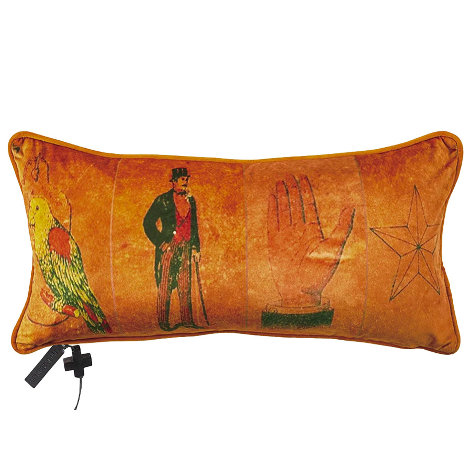 Jan Barboglio El Caballero Pillow