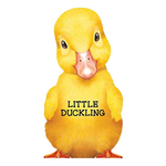 Sourcebooks Little Duckling Board Book