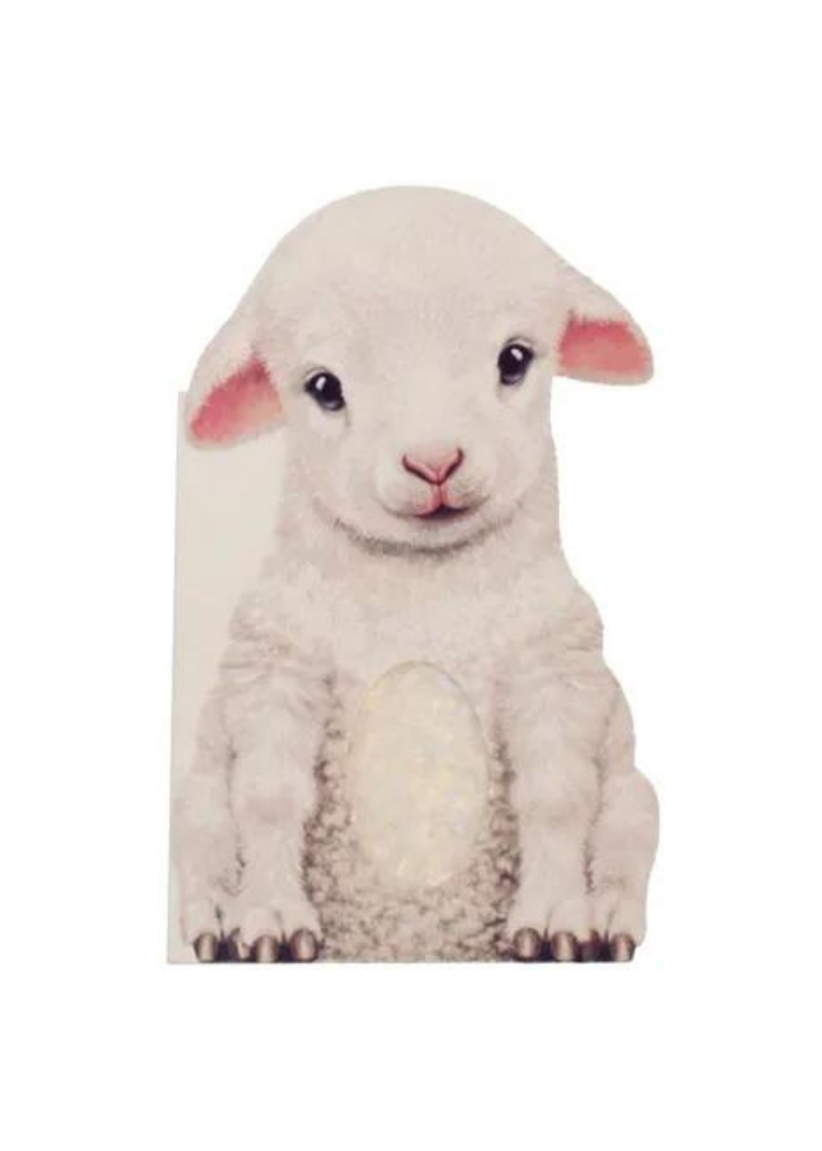 Sourcebooks Furry Lamb