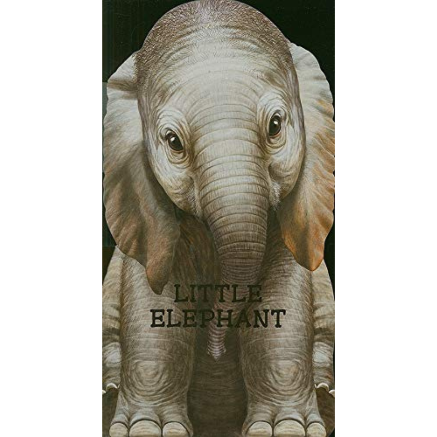 Sourcebooks Little Elephant