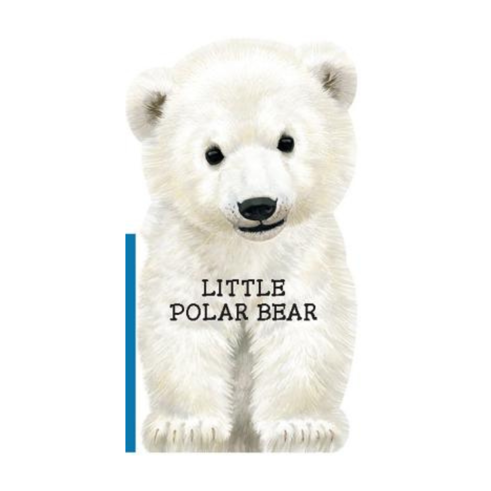 Sourcebooks Little Polar Bear Book